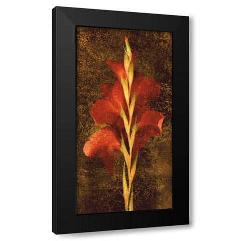 Gladiola Black Modern Wood Framed Art Print with Double Matting by Seba, John