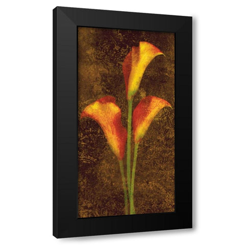 Callas Black Modern Wood Framed Art Print with Double Matting by Seba, John
