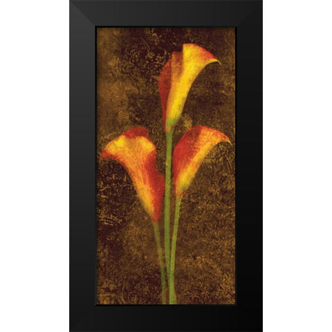 Callas Black Modern Wood Framed Art Print by Seba, John