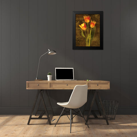 Three Tulips Black Modern Wood Framed Art Print by Seba, John
