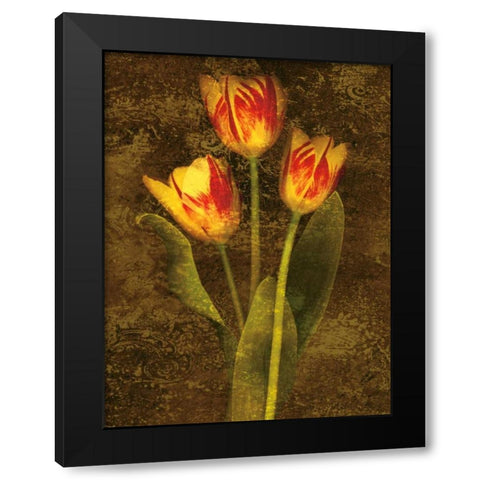 Three Tulips Black Modern Wood Framed Art Print with Double Matting by Seba, John