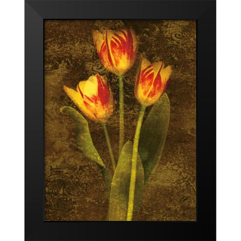 Three Tulips Black Modern Wood Framed Art Print by Seba, John