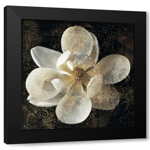 Magnolia I Black Modern Wood Framed Art Print with Double Matting by Seba, John