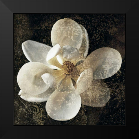 Magnolia I Black Modern Wood Framed Art Print by Seba, John