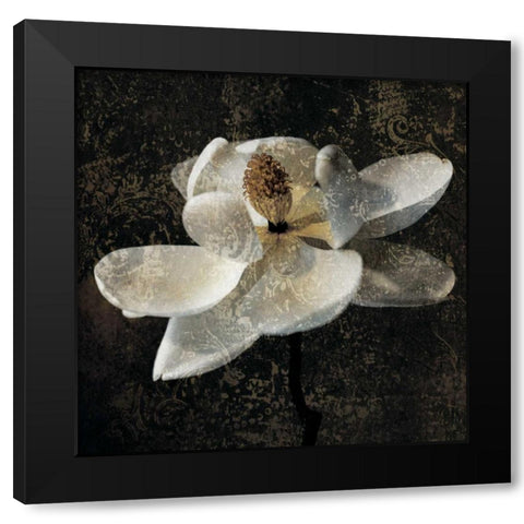 Magnolia II Black Modern Wood Framed Art Print by Seba, John