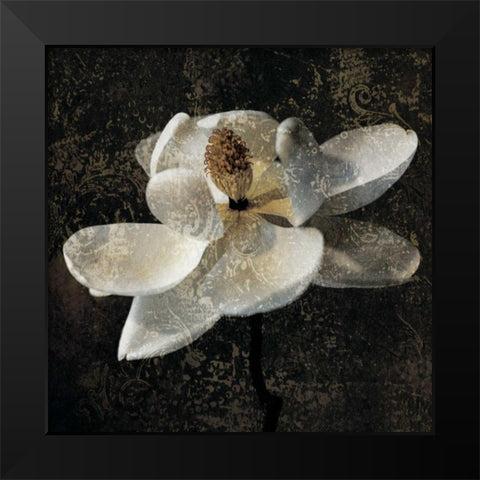 Magnolia II Black Modern Wood Framed Art Print by Seba, John