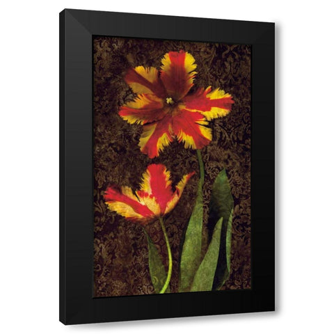 Decorative Tulips II Black Modern Wood Framed Art Print with Double Matting by Seba, John
