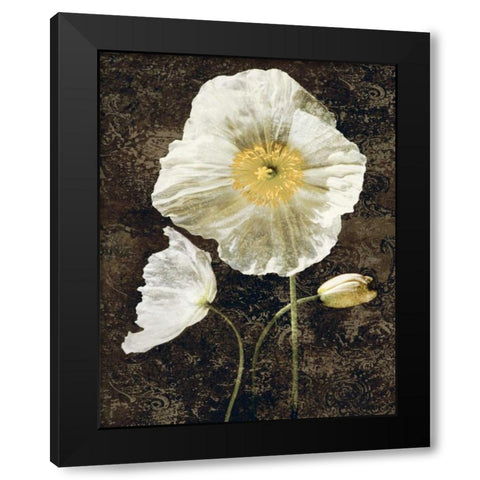 Poppies II Black Modern Wood Framed Art Print with Double Matting by Seba, John
