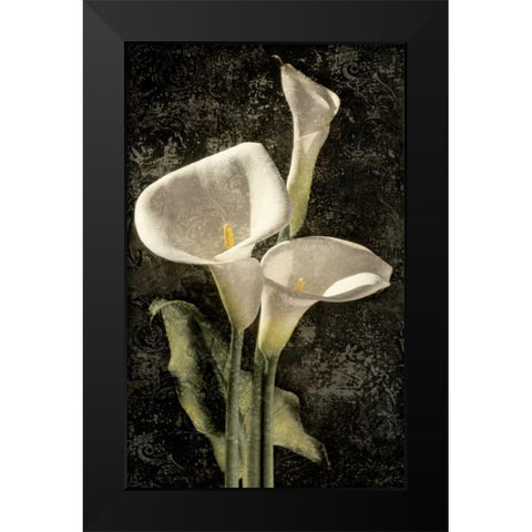 Callas I Black Modern Wood Framed Art Print by Seba, John