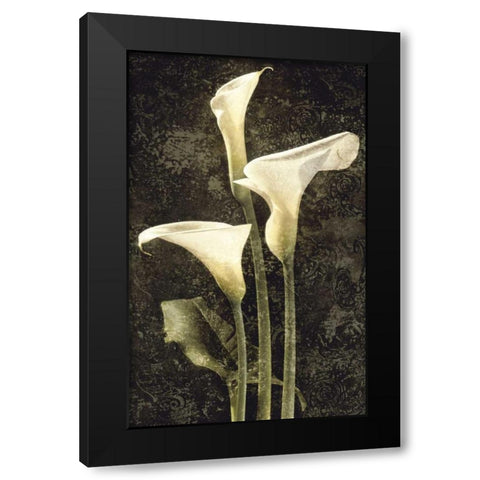 Callas II Black Modern Wood Framed Art Print with Double Matting by Seba, John