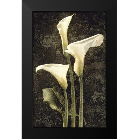 Callas II Black Modern Wood Framed Art Print by Seba, John