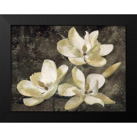 The Magnolia Tree Black Modern Wood Framed Art Print by Seba, John