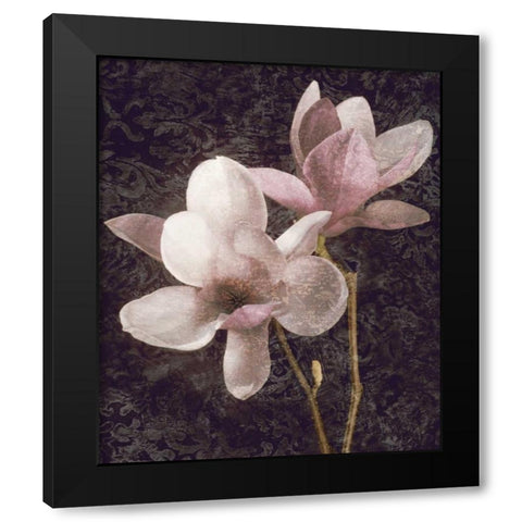 Pink Magnolias I Black Modern Wood Framed Art Print by Seba, John