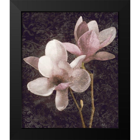 Pink Magnolias I Black Modern Wood Framed Art Print by Seba, John
