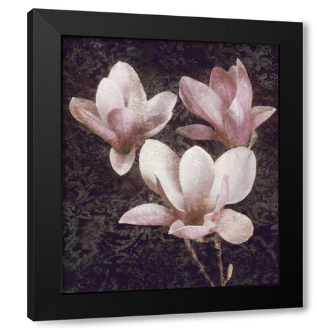 Pink Magnolias II Black Modern Wood Framed Art Print with Double Matting by Seba, John