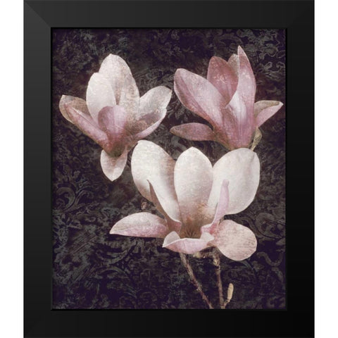 Pink Magnolias II Black Modern Wood Framed Art Print by Seba, John