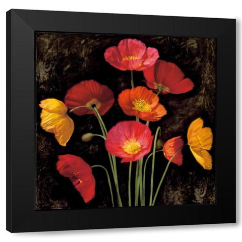 Poppy Bouquet I Black Modern Wood Framed Art Print by Seba, John