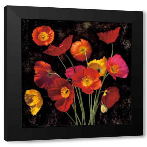 Poppy Bouquet II Black Modern Wood Framed Art Print by Seba, John