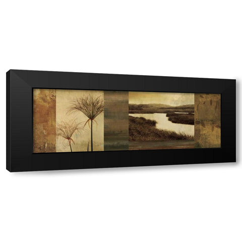Laguna II Black Modern Wood Framed Art Print by Seba, John