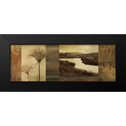 Laguna II Black Modern Wood Framed Art Print by Seba, John