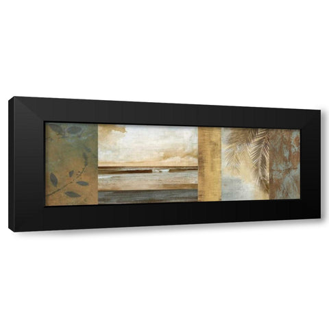 Del Mar II Black Modern Wood Framed Art Print by Seba, John