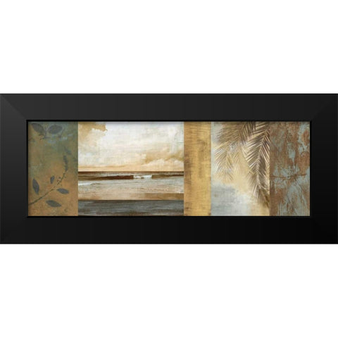 Del Mar II Black Modern Wood Framed Art Print by Seba, John