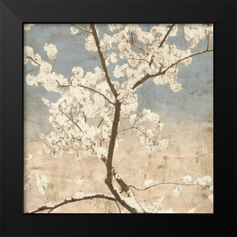 Cherry Blossoms I Black Modern Wood Framed Art Print by Seba, John