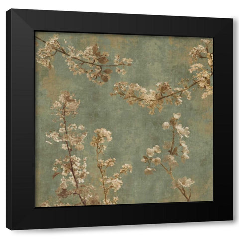 Morning Blossom I Black Modern Wood Framed Art Print by Seba, John