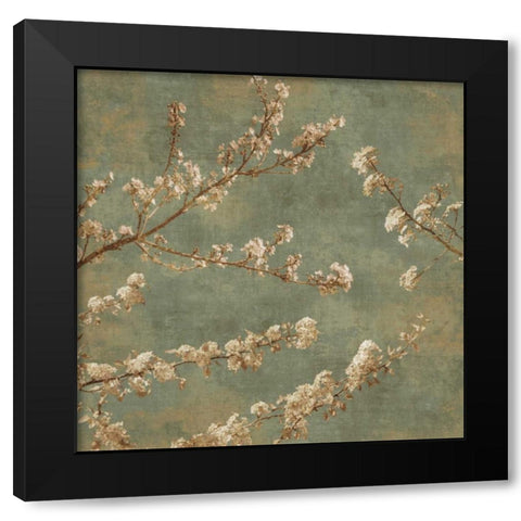 Morning Blossom II Black Modern Wood Framed Art Print by Seba, John