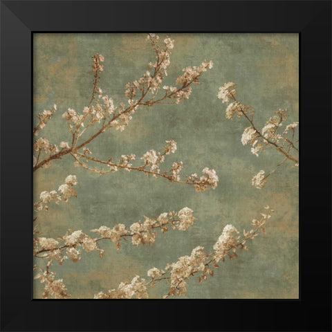 Morning Blossom II Black Modern Wood Framed Art Print by Seba, John