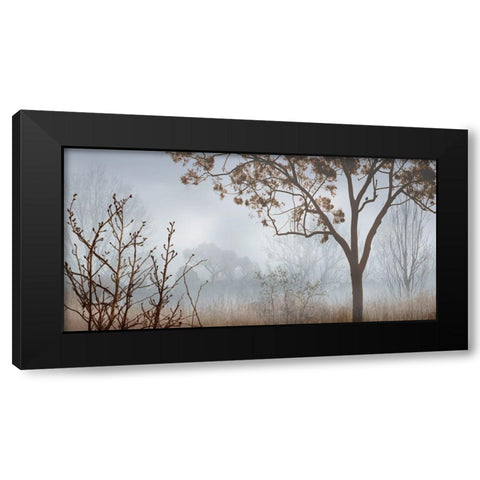 Early Morning Mist I Black Modern Wood Framed Art Print with Double Matting by Seba, John