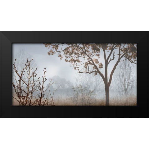 Early Morning Mist I Black Modern Wood Framed Art Print by Seba, John