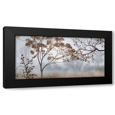 Early Morning Mist II Black Modern Wood Framed Art Print by Seba, John