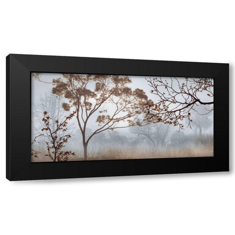 Early Morning Mist II Black Modern Wood Framed Art Print with Double Matting by Seba, John