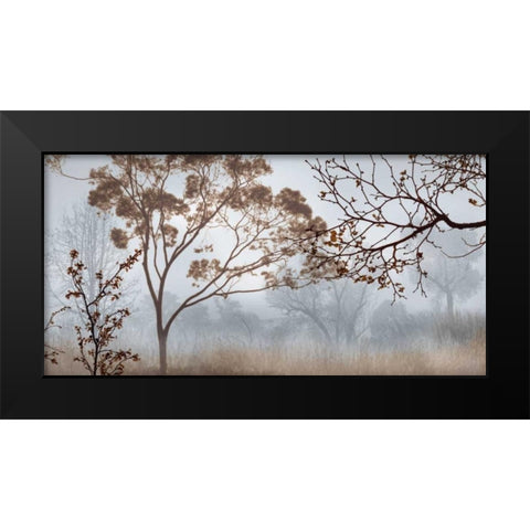 Early Morning Mist II Black Modern Wood Framed Art Print by Seba, John