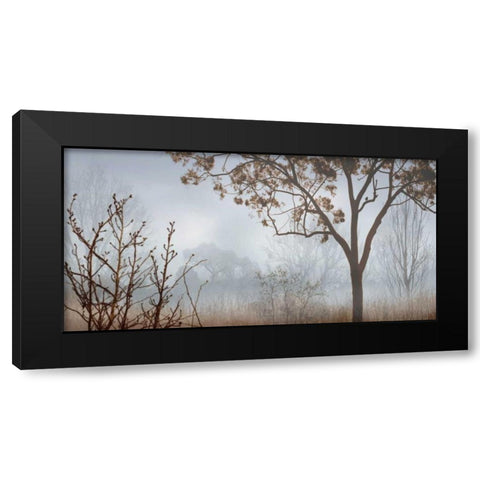 Early Morning Mist I Black Modern Wood Framed Art Print with Double Matting by Seba, John