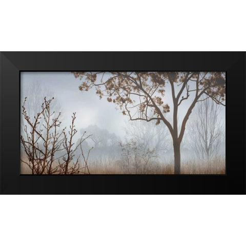 Early Morning Mist I Black Modern Wood Framed Art Print by Seba, John