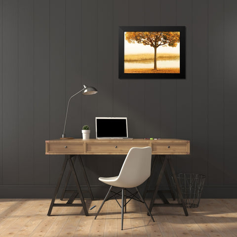 Golden Morning I Black Modern Wood Framed Art Print by Seba, John