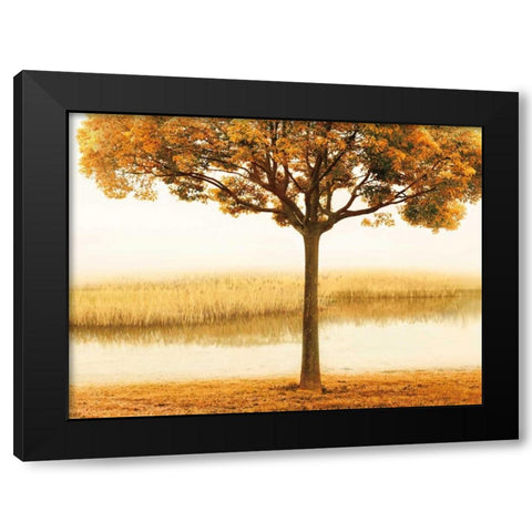 Golden Morning I Black Modern Wood Framed Art Print with Double Matting by Seba, John