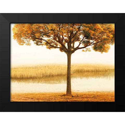Golden Morning I Black Modern Wood Framed Art Print by Seba, John
