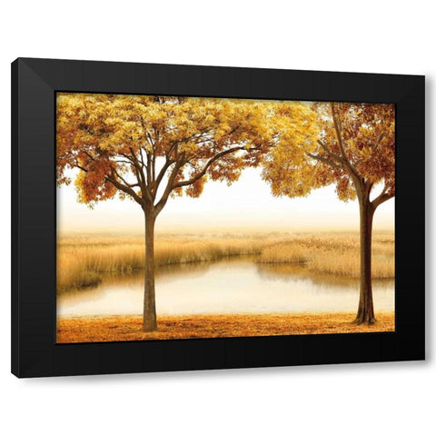 Golden Morning II Black Modern Wood Framed Art Print with Double Matting by Seba, John