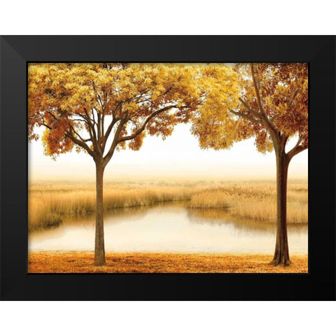 Golden Morning II Black Modern Wood Framed Art Print by Seba, John