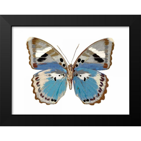 Butterfly in Pink I Black Modern Wood Framed Art Print by Bosco, Julia