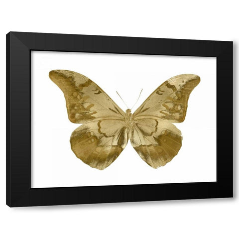 Golden Butterfly III Black Modern Wood Framed Art Print by Bosco, Julia
