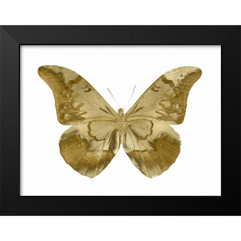 Golden Butterfly III Black Modern Wood Framed Art Print by Bosco, Julia