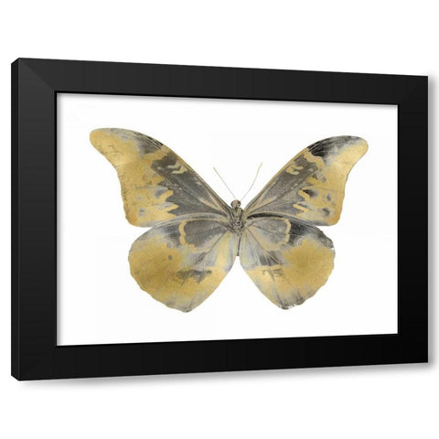 Golden Butterfly II Black Modern Wood Framed Art Print with Double Matting by Bosco, Julia