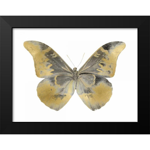 Golden Butterfly II Black Modern Wood Framed Art Print by Bosco, Julia