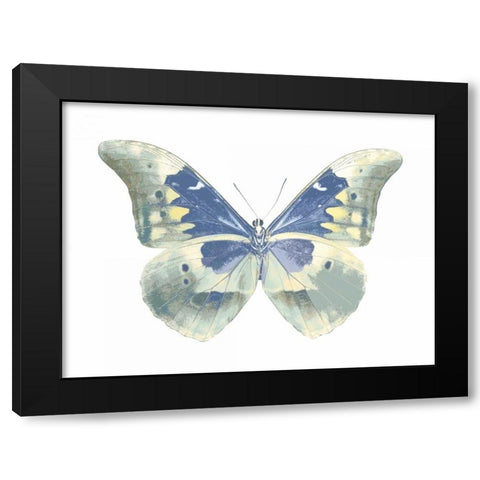 Butterfly in Aqua II Black Modern Wood Framed Art Print with Double Matting by Bosco, Julia