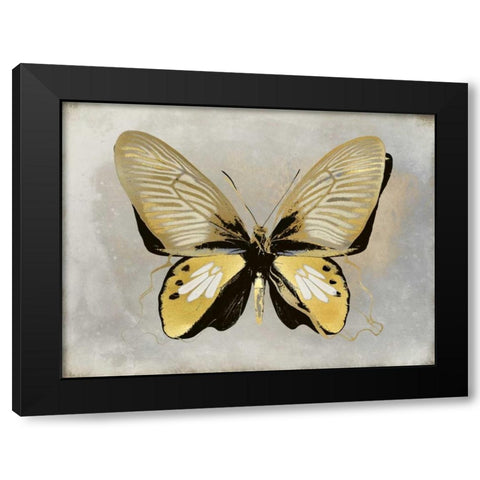 Butterfly Study I Black Modern Wood Framed Art Print with Double Matting by Bosco, Julia