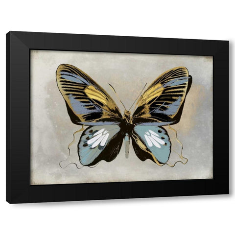 Butterfly Study II Black Modern Wood Framed Art Print with Double Matting by Bosco, Julia